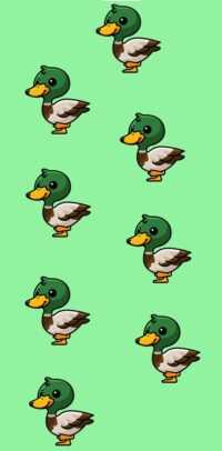 Mobile Duck Wallpaper 31