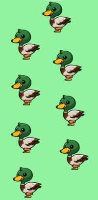 Mobile Duck Wallpaper 5