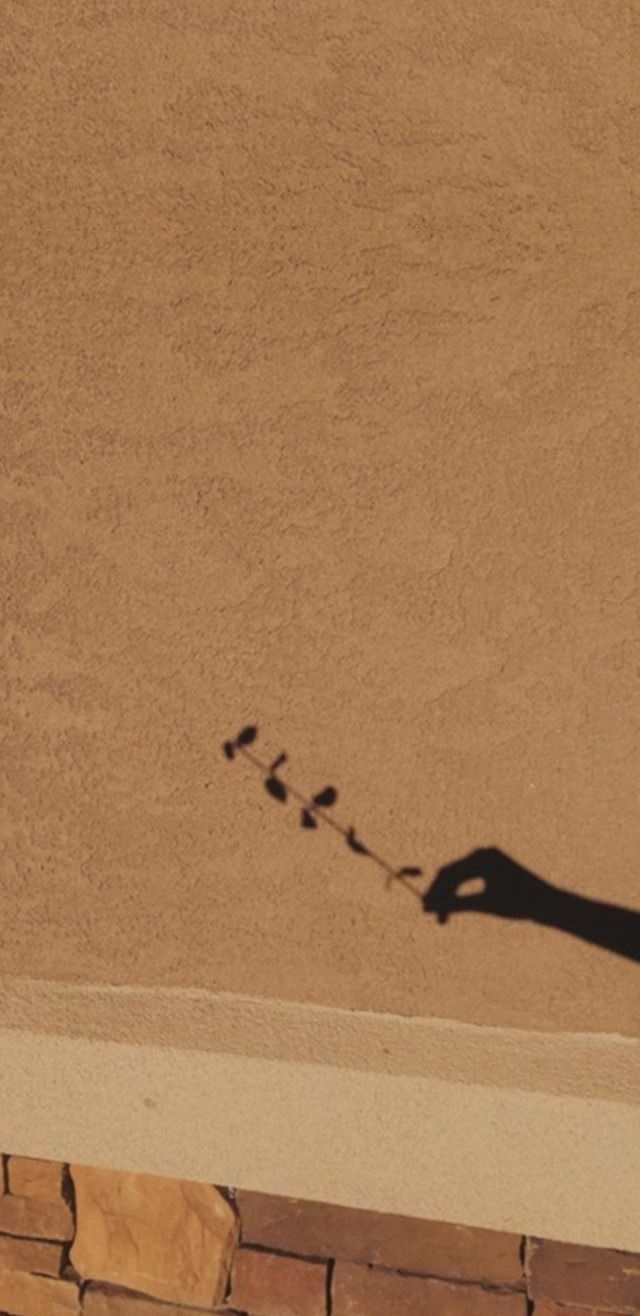 Tan Wallpaper 1 Tan Wallpaper 1