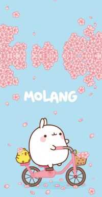 Molang Wallpaper 39