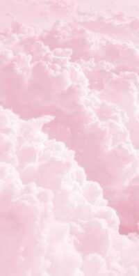 Light Pink Wallpaper 46