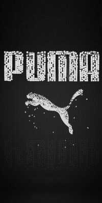 Download Puma Wallpaper 29