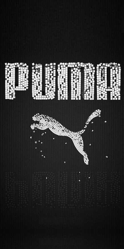 Download Puma Wallpaper 1 Download Puma Wallpaper 1