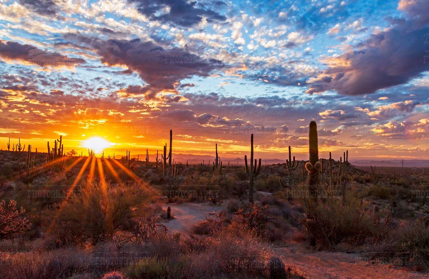 Sunset Arizona Wallpaper 1