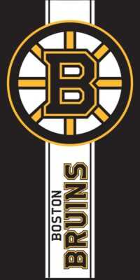 Boston Bruins Wallpaper 10