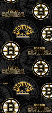 Download Boston Bruins Wallpaper 5