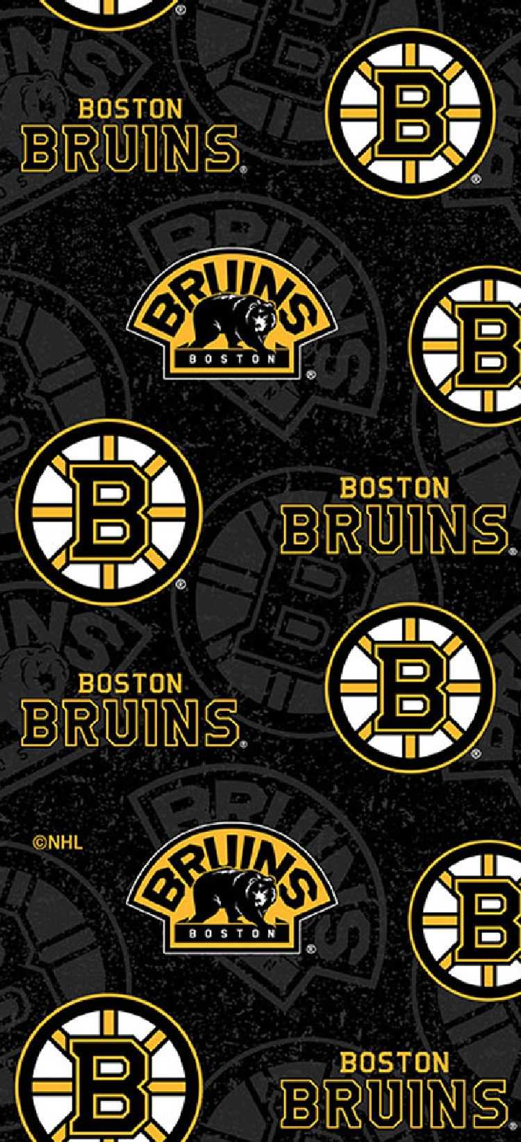 Download Boston Bruins Wallpaper 1