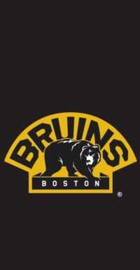 Boston Bruins Wallpaper 1