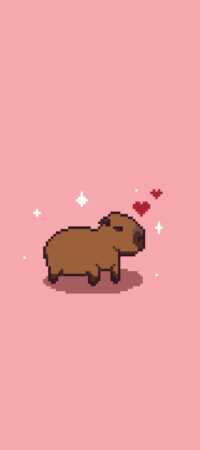 Cute Capybara Wallpaper 12