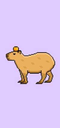 Capybara Wallpaper 5