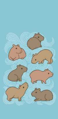 Phone Capybara Wallpaper 48