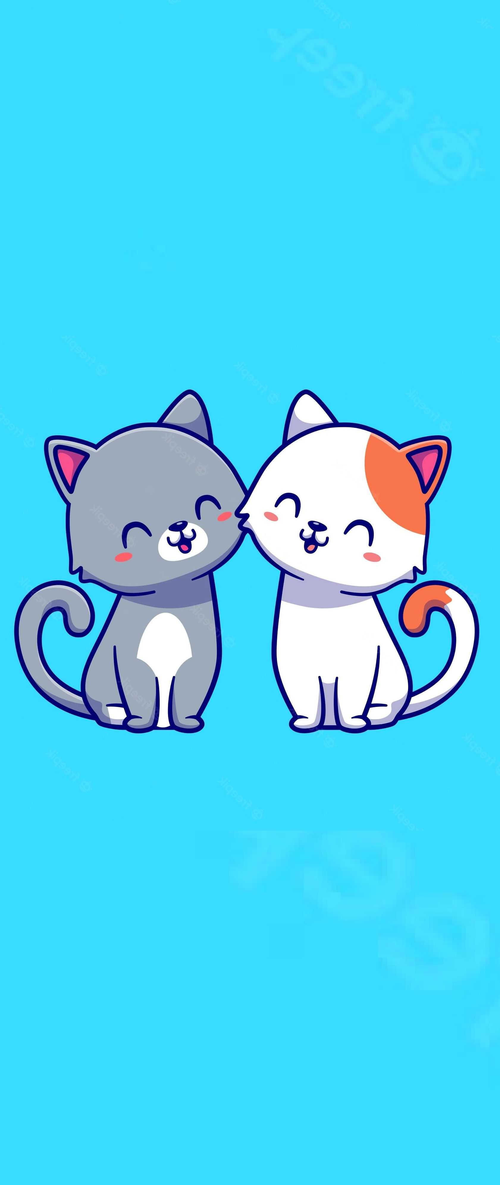 Cute Cat Wallpaper Wallpaper Sun