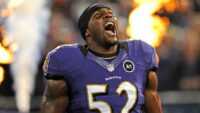 Ray Lewis Wallpaper 6