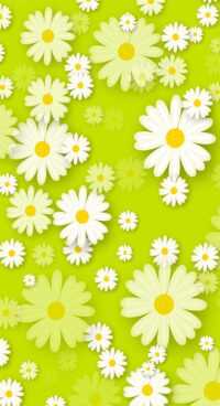 Daisies Wallpapers 14