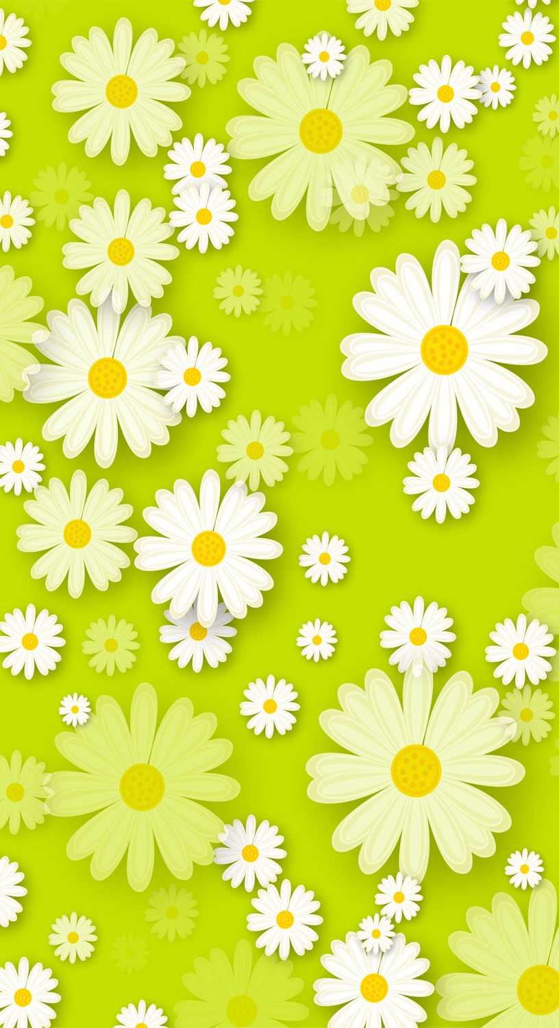 Daisies Wallpapers 1