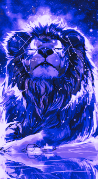 Lion Wallpaper 7