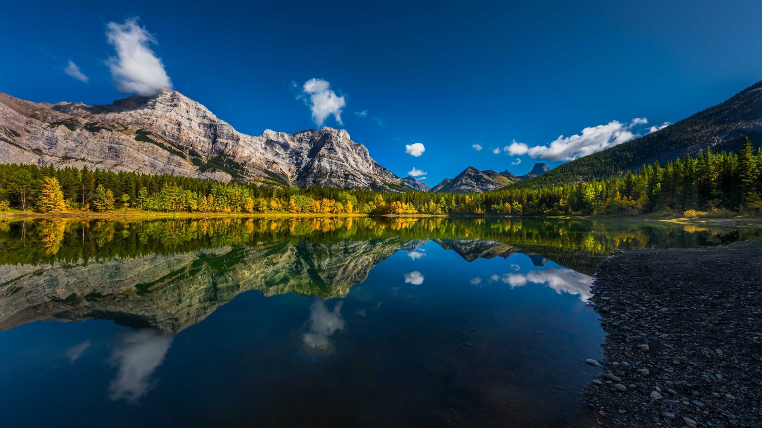 2560x1440 Wallpaper 1 2560x1440 Wallpaper 1