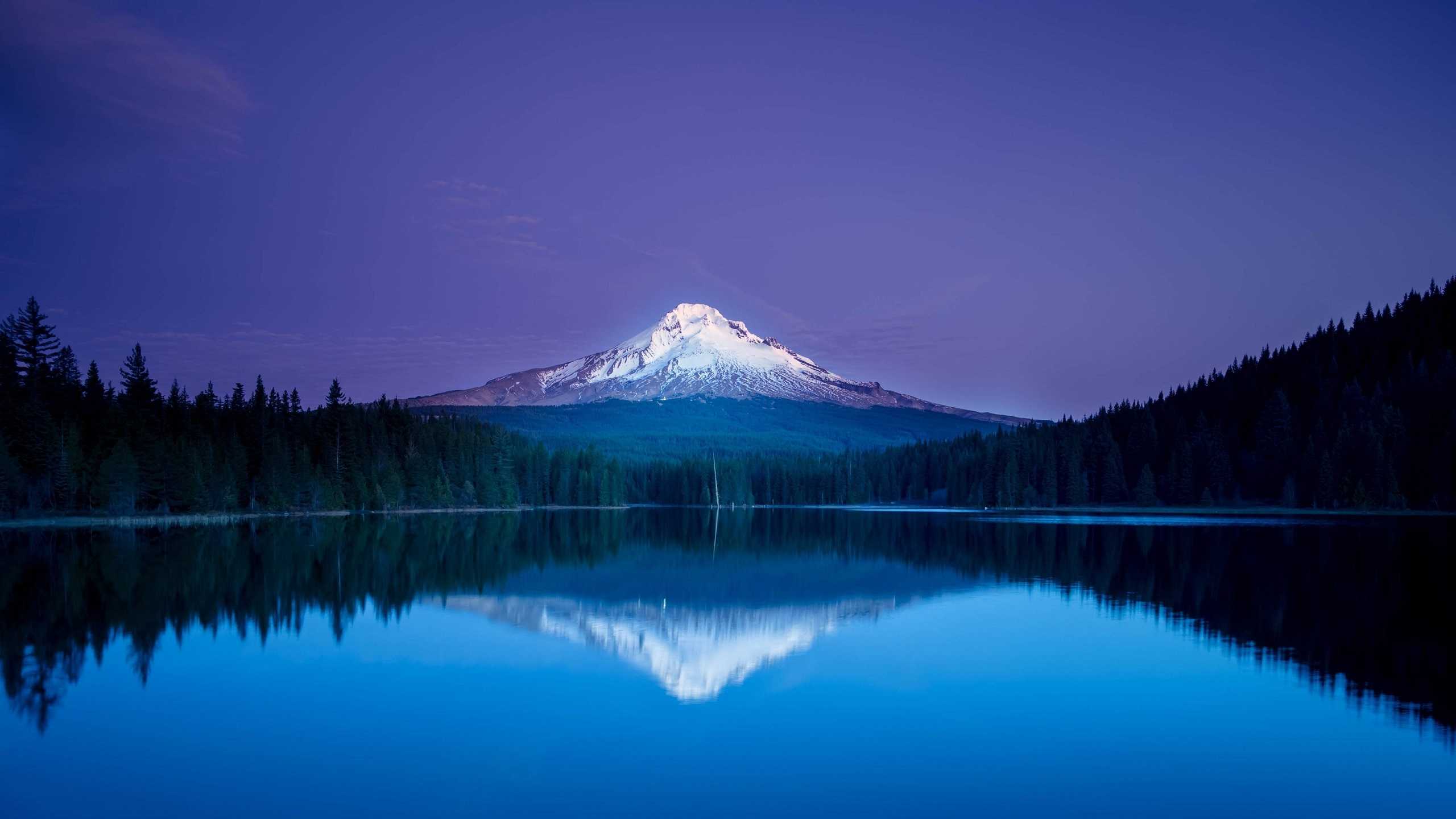 Download 2560x1440 Wallpaper 1 Download 2560x1440 Wallpaper 1