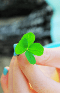 Four Leaf Clover Wallpaper 9