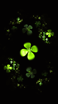 Four Leaf Clover Wallpaper 4