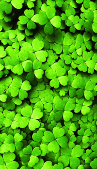 Download Four Leaf Clover Wallpaper 3