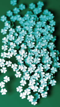 Four Leaf Clover Wallpapers 2