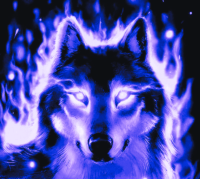 Wolves Wallpaper 18