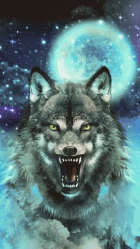 Wolves Wallpaper 16