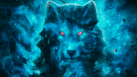 Wolves Wallpaper 15