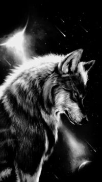 Black Wolves Wallpaper 36