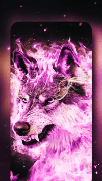 Wolves Wallpaper 4