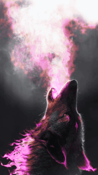 Wolves Background 2