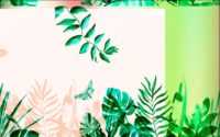 Aesthetic Plant Wallpaper 24