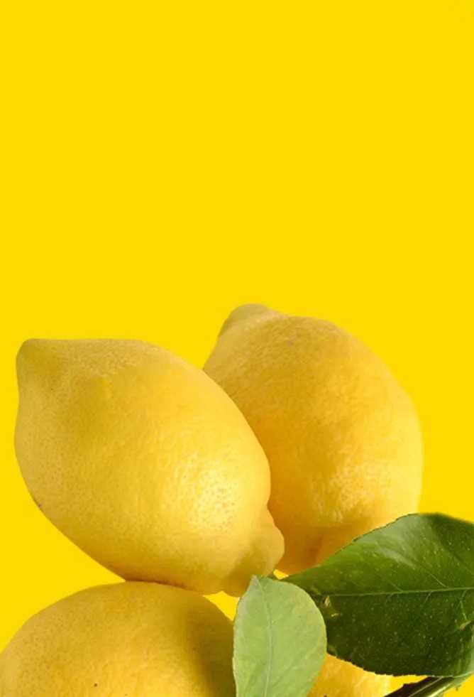 Lemon Wallpaper 1 Lemon Wallpaper 1