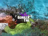 Gorilla Tag 14